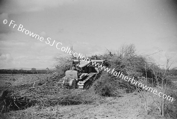 BULLDOZER  CLEARING SCRUB AND TREES  NEAR LAKE